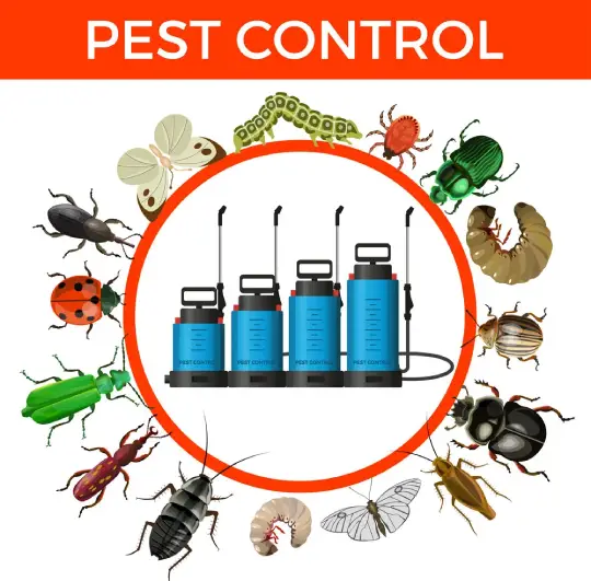 # 1 Trused Local Pest Control  In rosebud